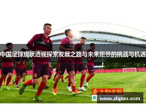 中国足球现状透视探索发展之路与未来愿景的挑战与机遇