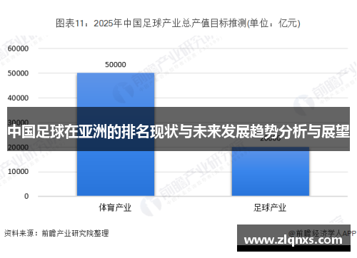 中国足球在亚洲的排名现状与未来发展趋势分析与展望