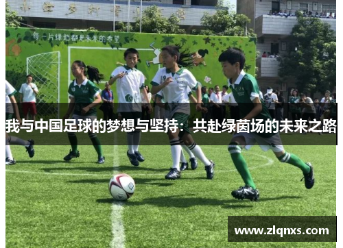 我与中国足球的梦想与坚持：共赴绿茵场的未来之路