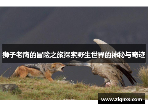 狮子老鹰的冒险之旅探索野生世界的神秘与奇迹
