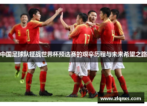 中国足球队征战世界杯预选赛的艰辛历程与未来希望之路